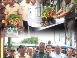 Kontes Bonsai di Kodim Kerinci Tuai Antusias, Peserta Datang dari Berbagai Daerah