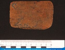 Temuan Terbaru Manuskrip Incung Kerinci : Ungkap Kisah Sejarah, Cinta, dan Batas Wilayah Adat