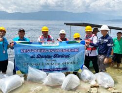 Bupati Monadi dan PT KMH Restocking Ikan Endemik, Perkuat Ekosistem Danau Kerinci